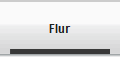 Flur