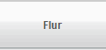 Flur